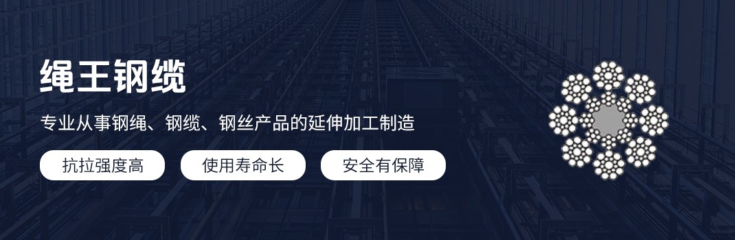 PAWO F1 用于加速控制器的钢丝绳